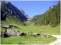 Obere Schwarzachalm Blick zum Brandberger Joch