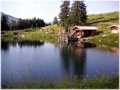 Teich bei der Grieralm