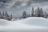 Schneespur im Winterwald