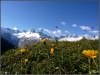 Blick zum Gletscher